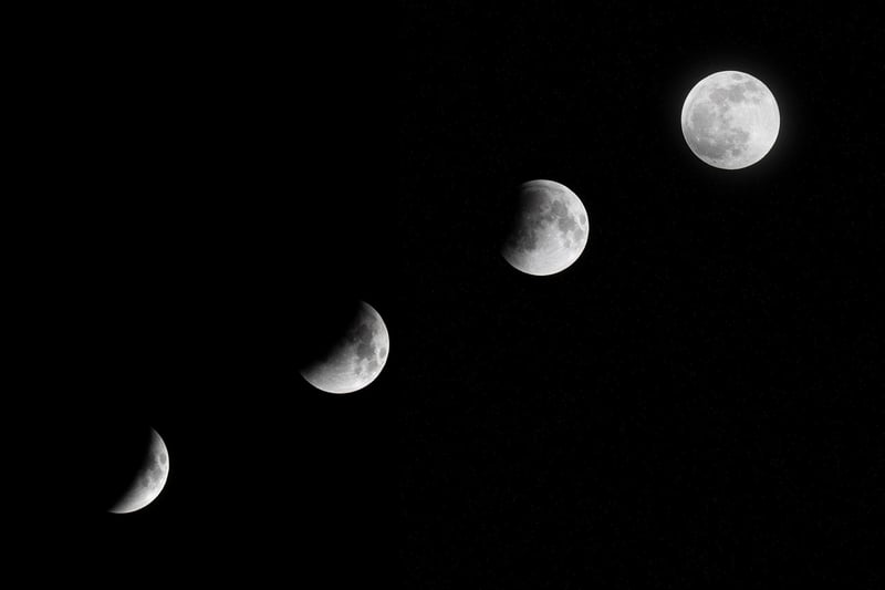 Moonlit Music Image 2