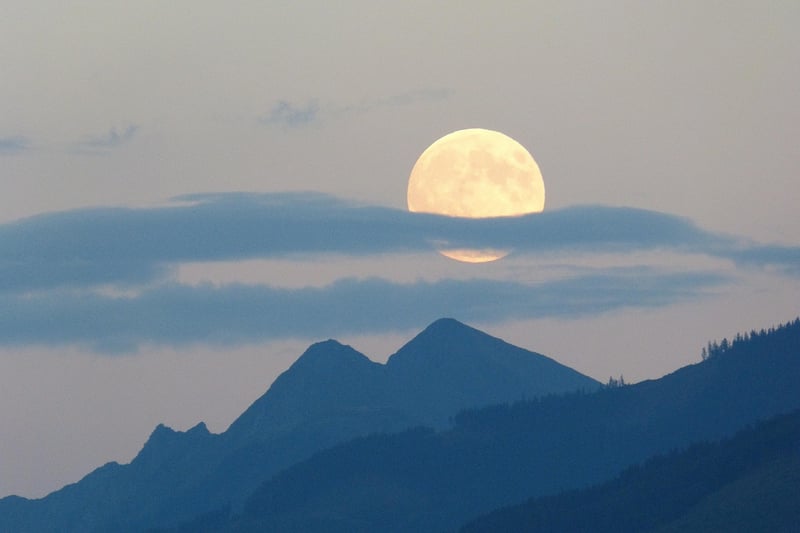 Moonlit Music Image 1